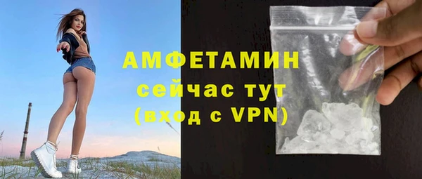 прущие грибы Кукмор
