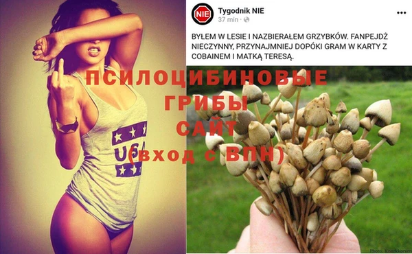 прущие грибы Кукмор