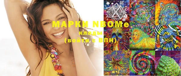 прущие грибы Кукмор