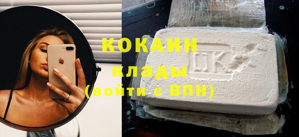 прущие грибы Кукмор