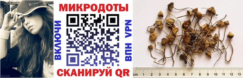 Купить  Урень  Галлюциногенные грибы Magic Shrooms 
